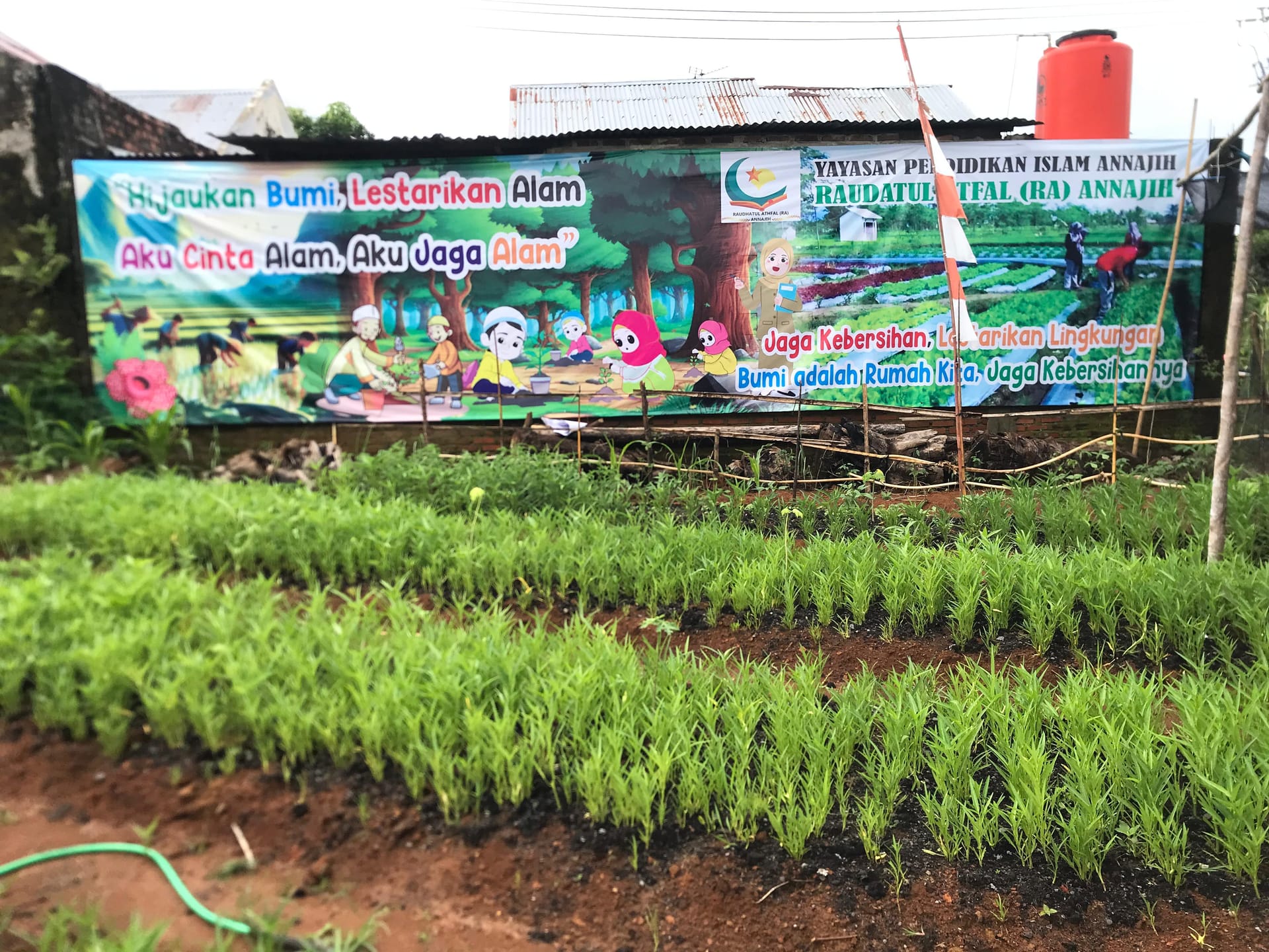 Kebun yang hijau untuk media pembelajaran alamiah